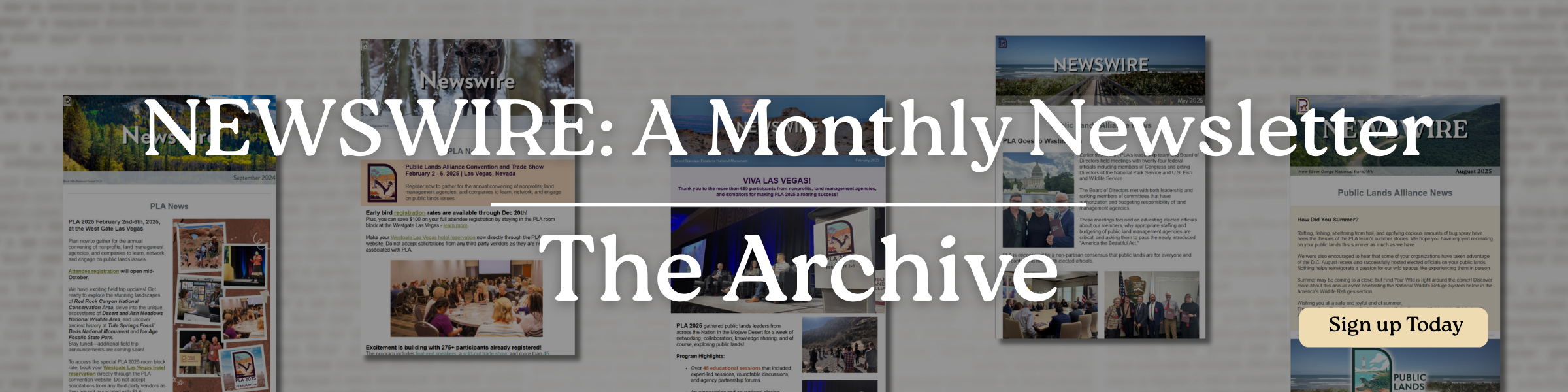 Newswire: A monthly Newsletter